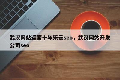 武汉网站运营十年乐云seo,武汉网站开发公司seo