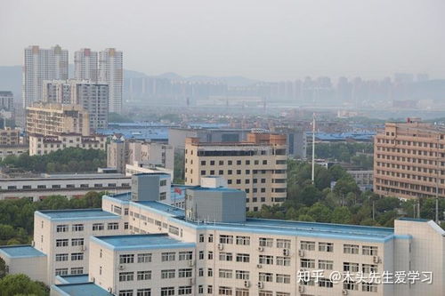院校介绍 武汉信息传播职业技术学院