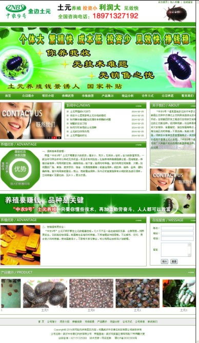 武汉网站建设 武汉中农博亿科技开发建成开通